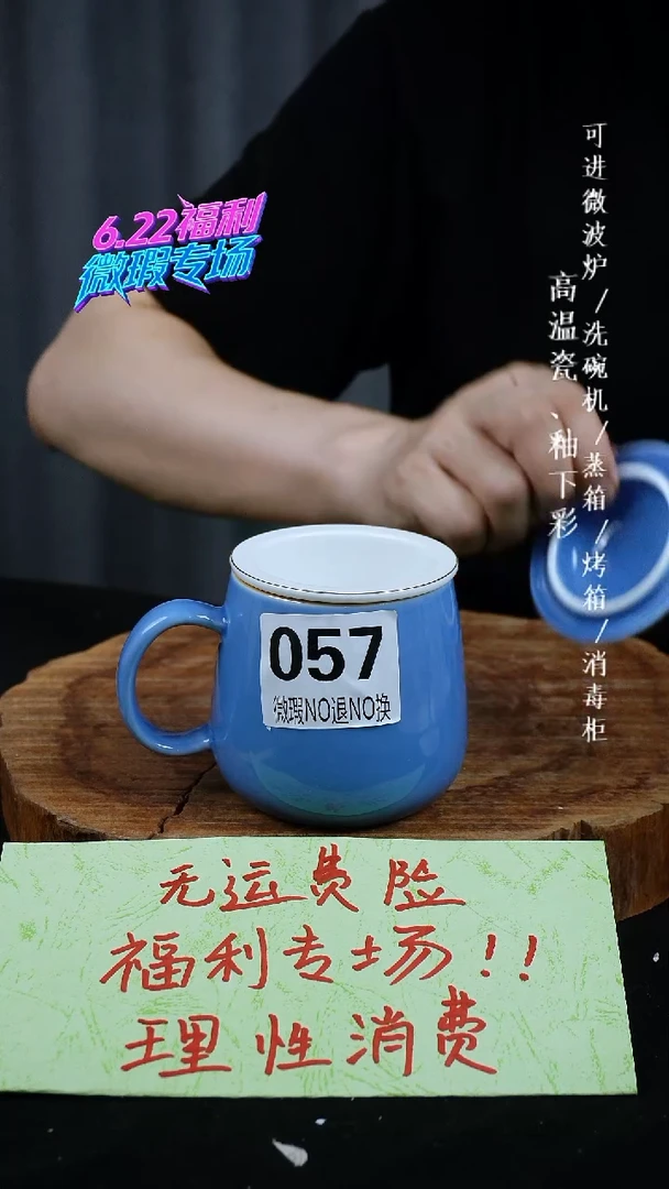 其他高温瓷（单色盖杯）微瑕057