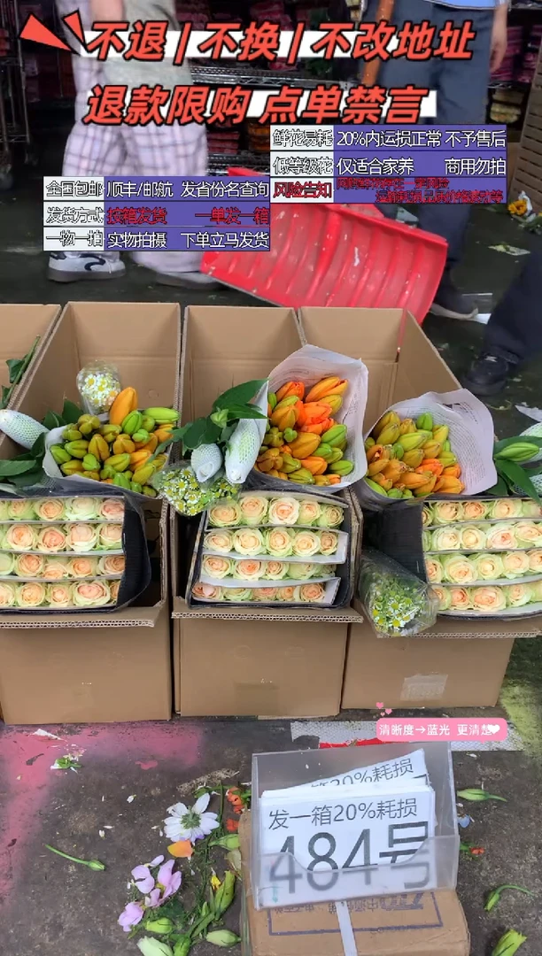 484号♥含20%耗损发一箱