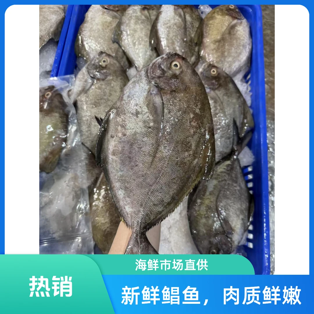 新鲜海乌鲳鱼肉质鲜美营养高顺丰冷链包邮