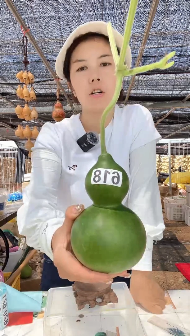 618天然葫芦摆件 一物一拍龙头不保售后