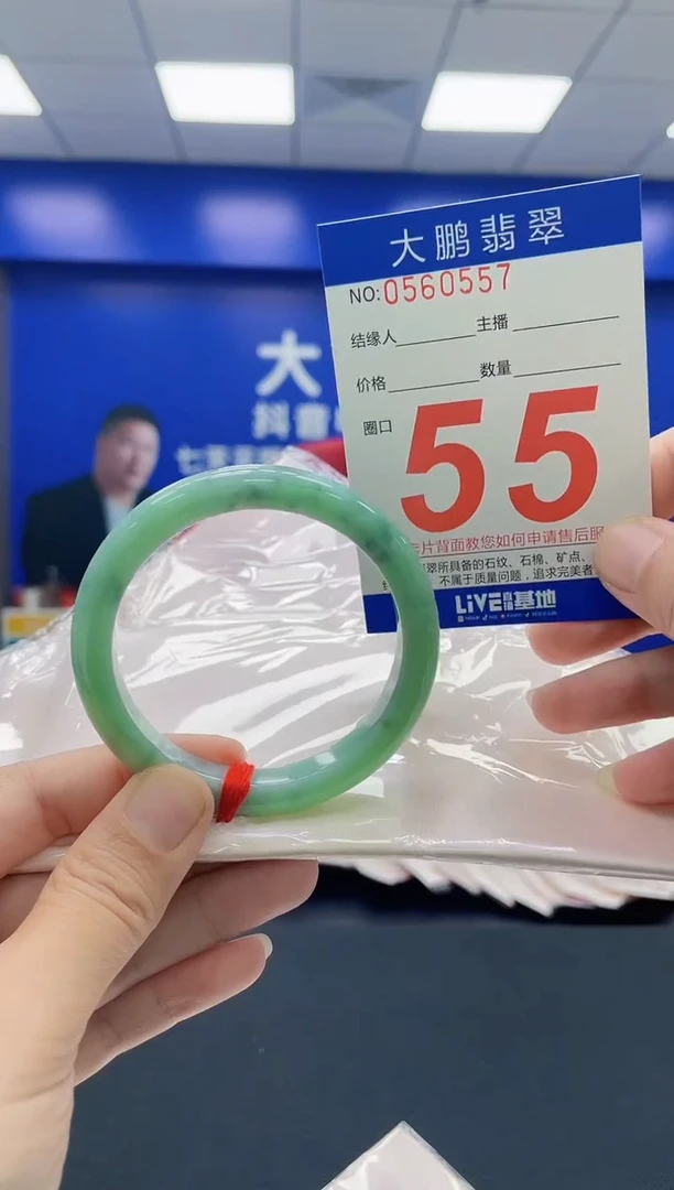 未镶嵌手镯翡翠AAAAAAAAAA