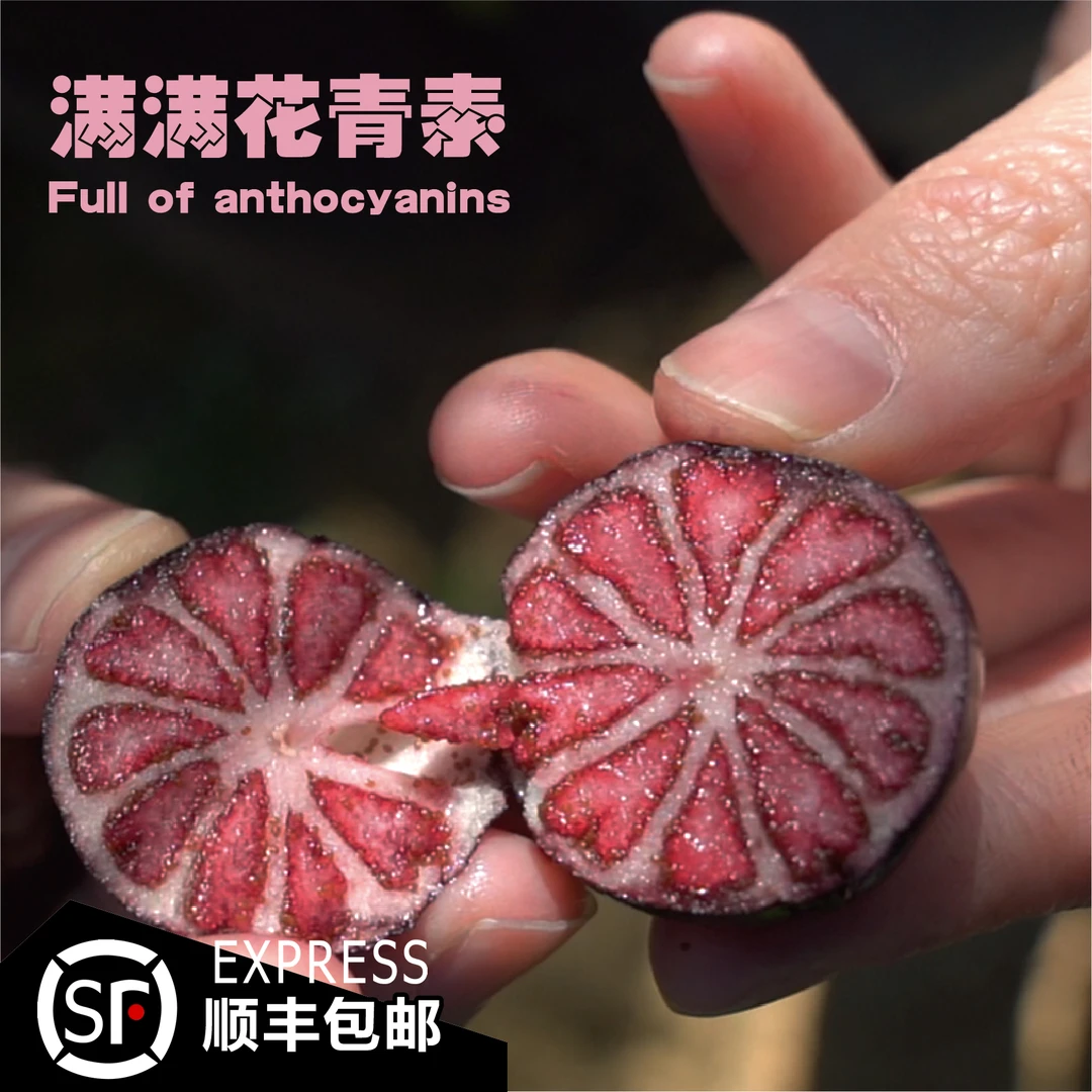 【红果参】云南高山种植水果新鲜采摘果园直发特大顺丰包邮鲜果