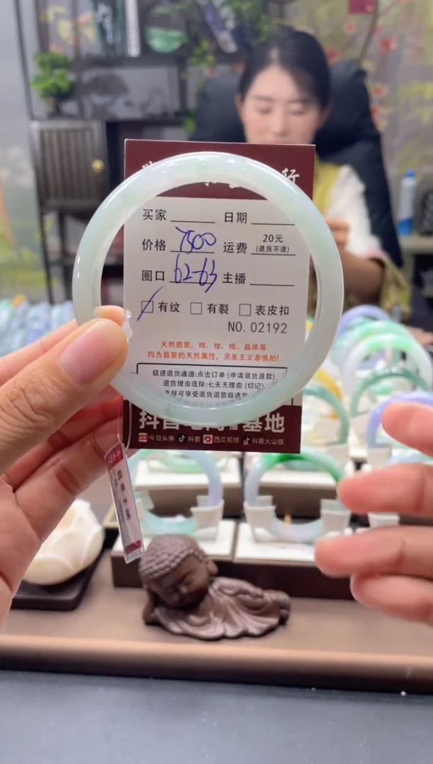 未镶嵌手镯翡翠2192****