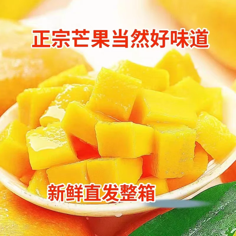 广西百色贵妃芒果新鲜应季热带水果香甜爽滑肉嫩多汁果园直发
