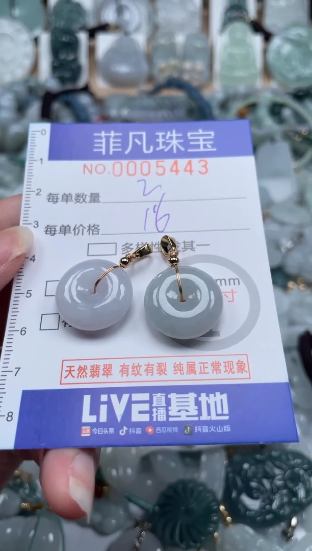 翡翠未镶嵌颈饰00..5443