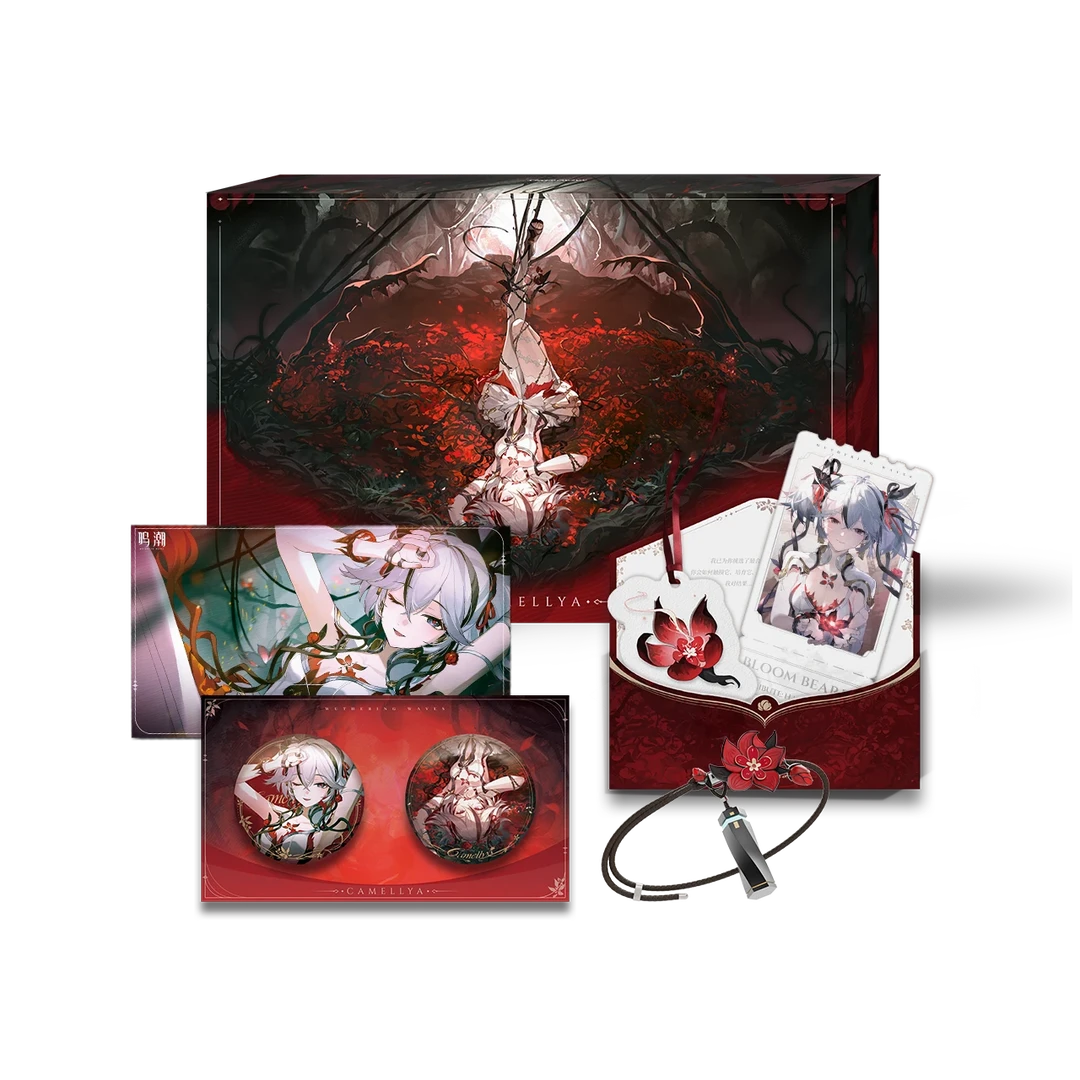 【bilibili直播预售】库洛游戏 鸣潮 命定之种藏花匣 角色礼盒