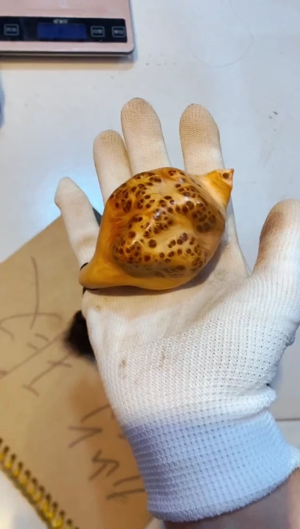 柏木（崖柏）44北太行崖柏手把件手串