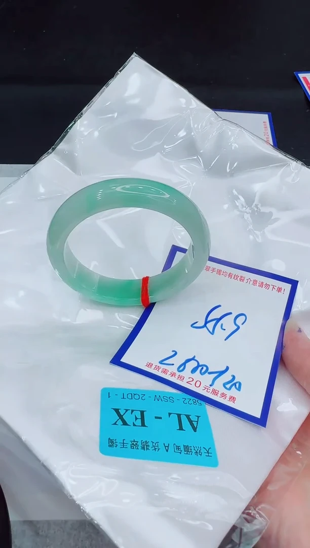 未镶嵌手镯翡翠11111111