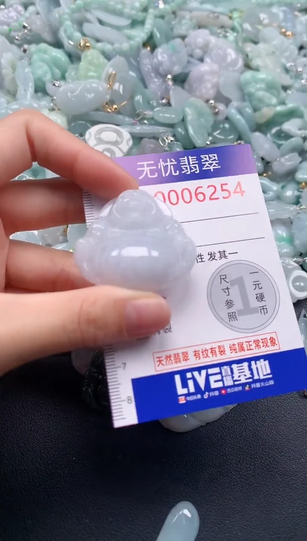 颈饰未镶嵌翡翠6254