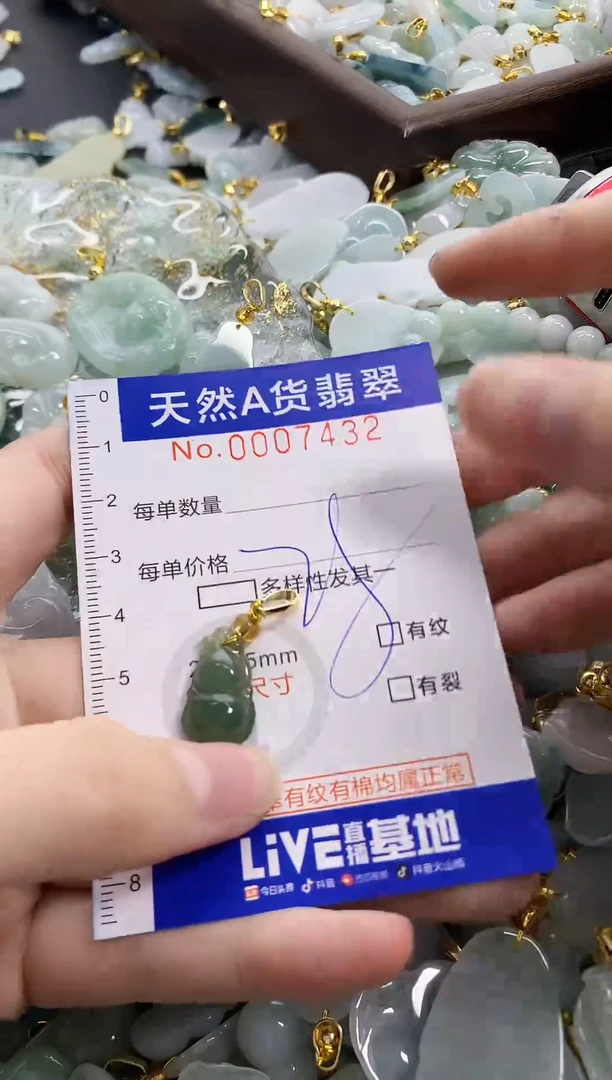 颈饰未镶嵌翡翠天然A货翡翠