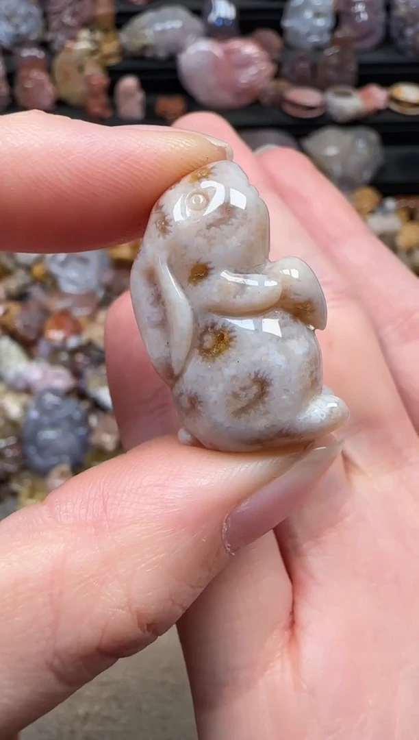 颈饰未镶嵌硅化珊瑚（珊瑚玉）810