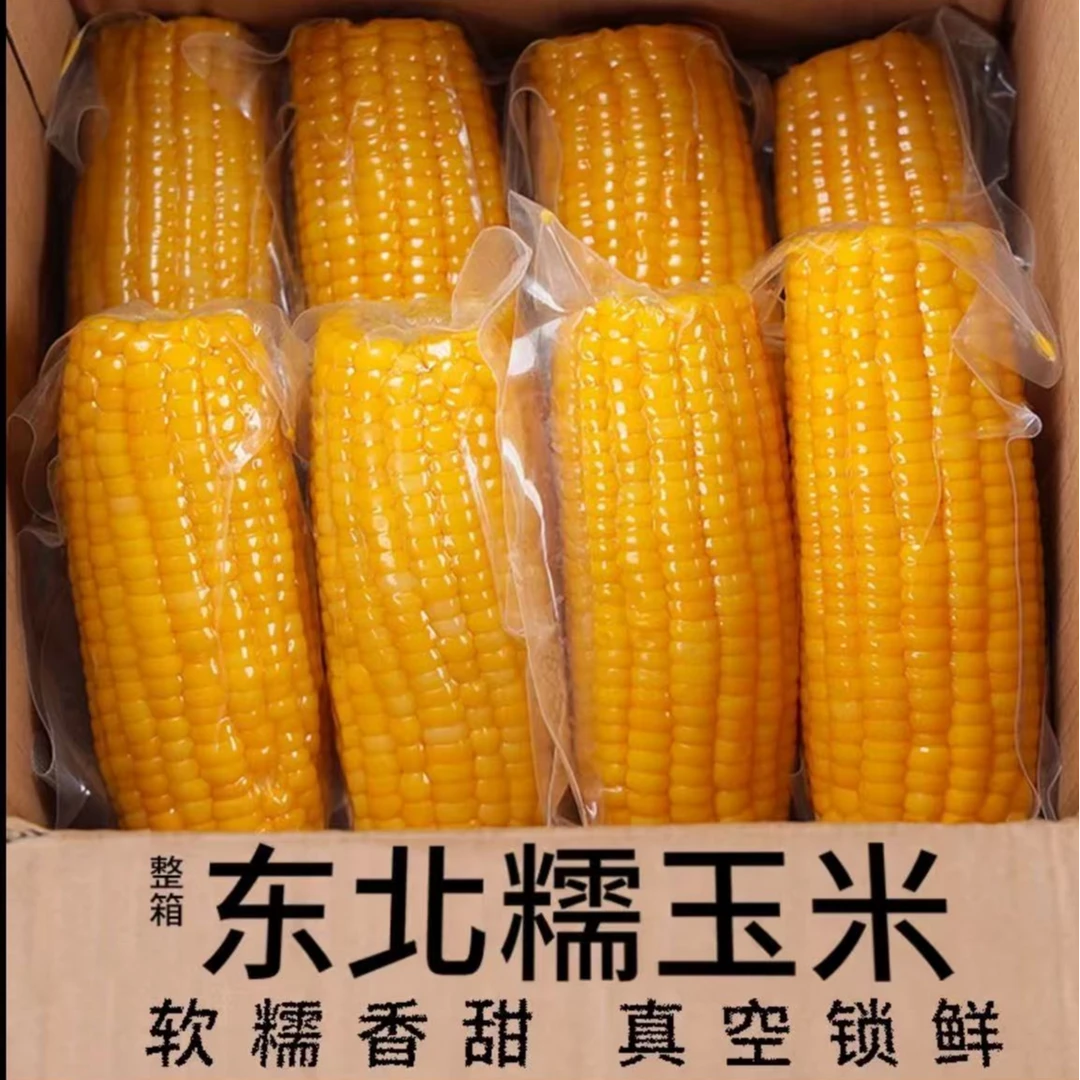 JH【12根装】东北黄糯玉米新玉米新鲜糯玉米杂粮早餐真空装KK