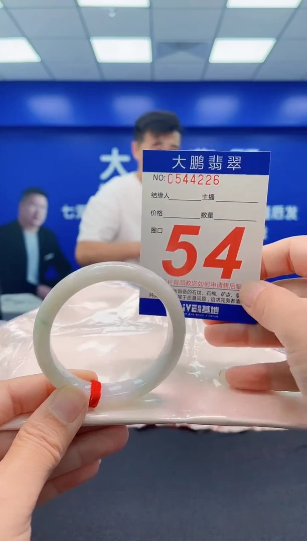 未镶嵌手镯翡翠AAAAAAAAA