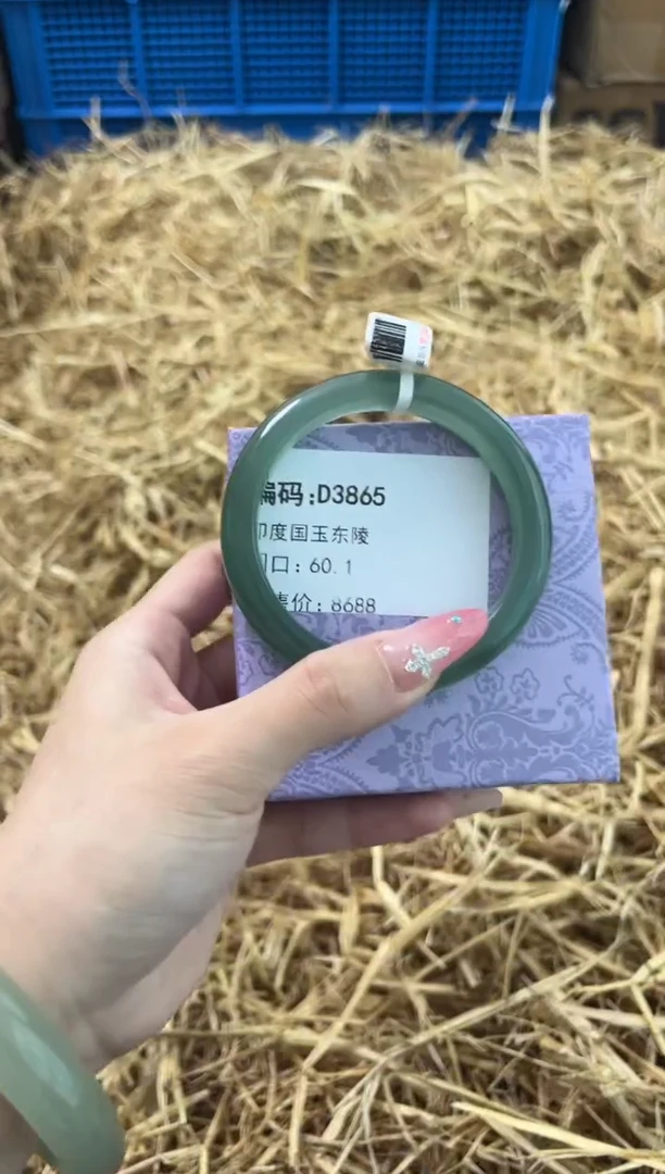 未镶嵌手镯石英质玉D3865