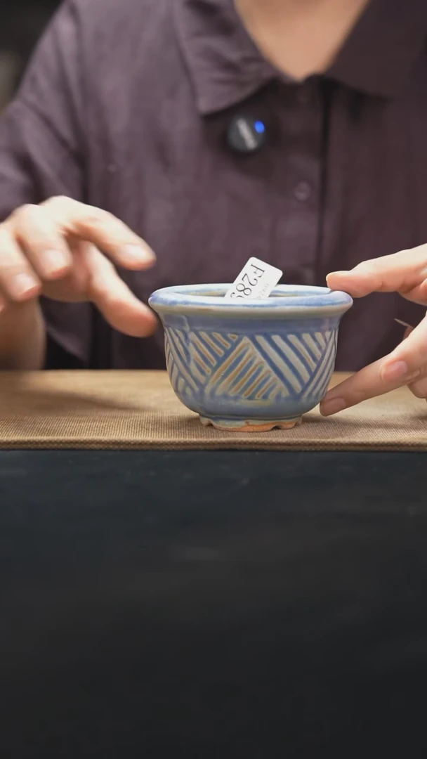 口径7.5花盆9-24-289