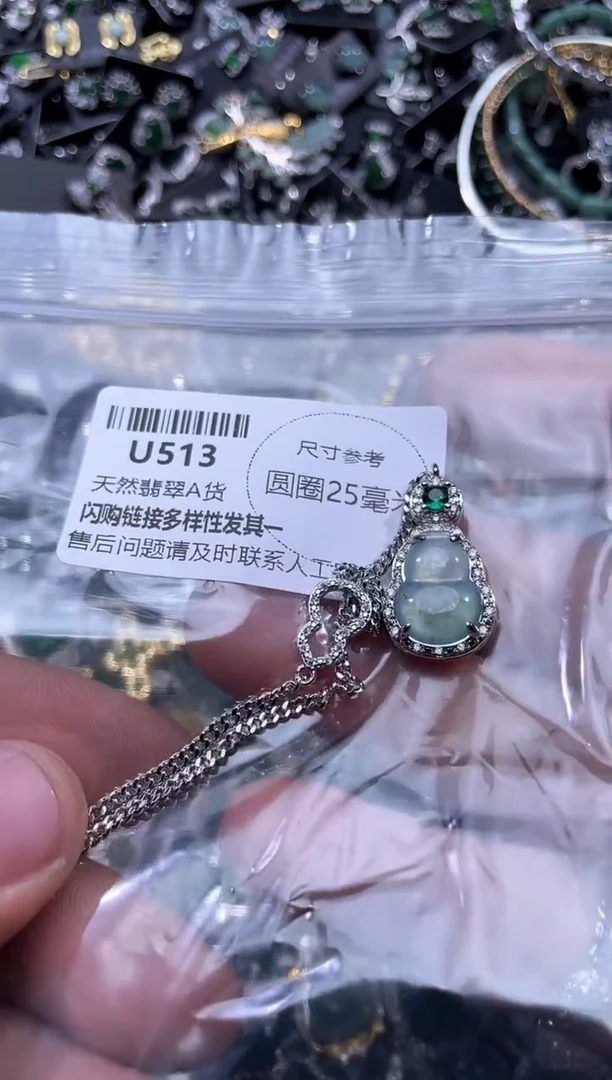 【闪购商品】翡翠颈饰未镶嵌U513项链