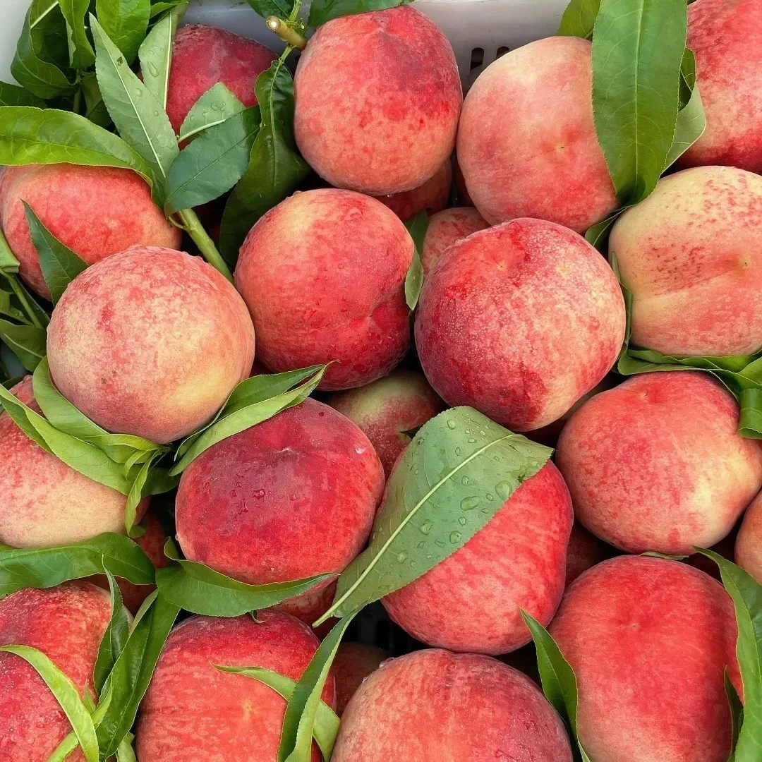 红毛桃+黄毛蟠桃 2斤装