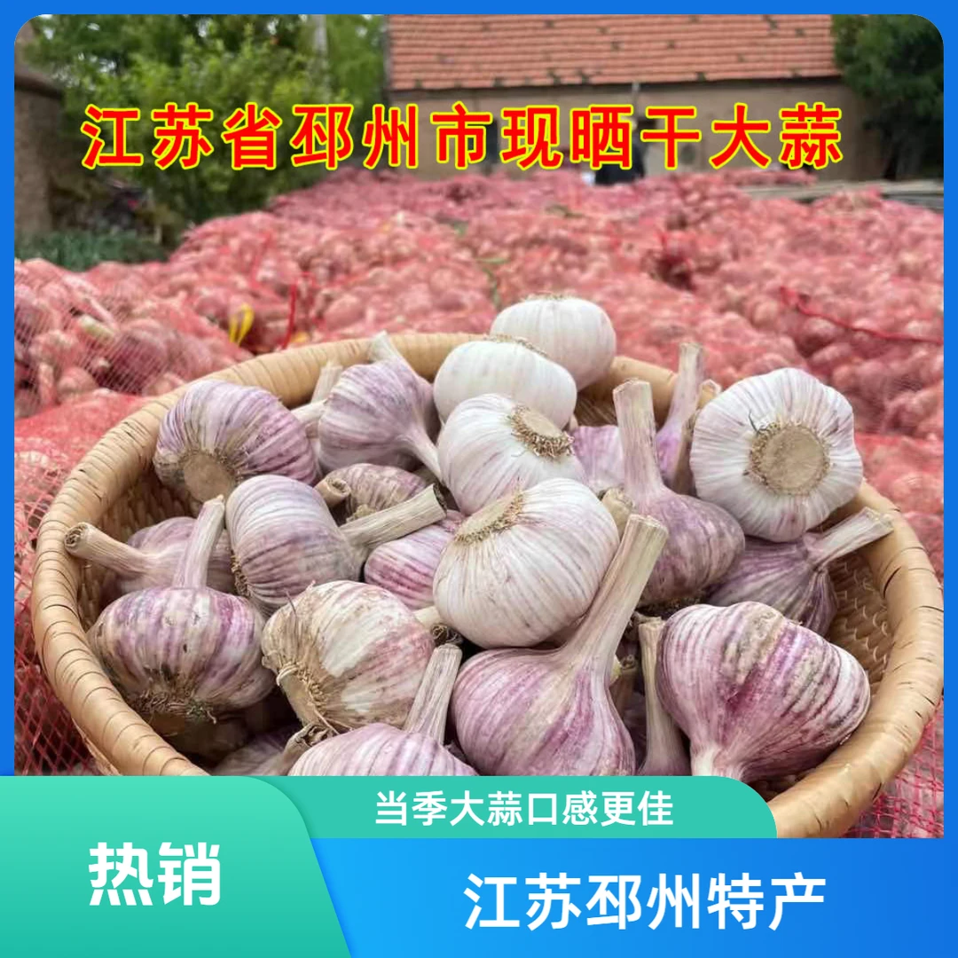 【邳州精品新干蒜】可吃可种手选大果 无烂蒜无蒜根干净无泥5斤包邮