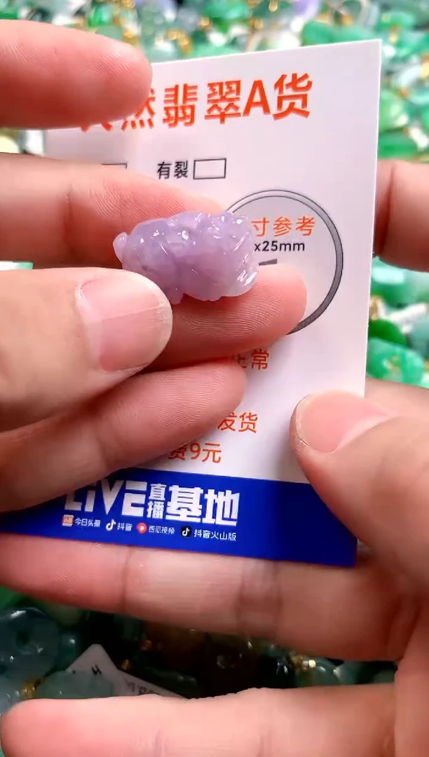 颈饰未镶嵌翡翠0281782719