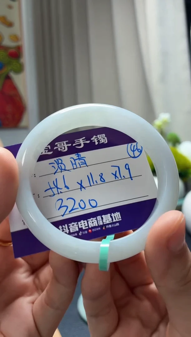 未镶嵌手镯翡翠张*林翡翠手镯46号