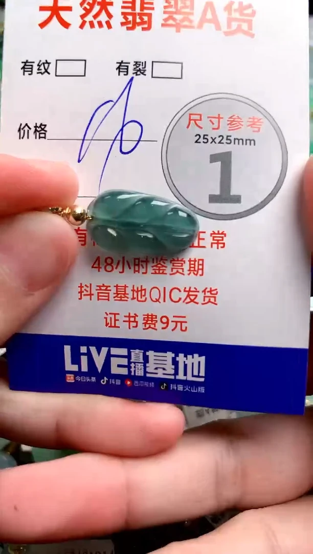 翡翠未镶嵌颈饰24000869