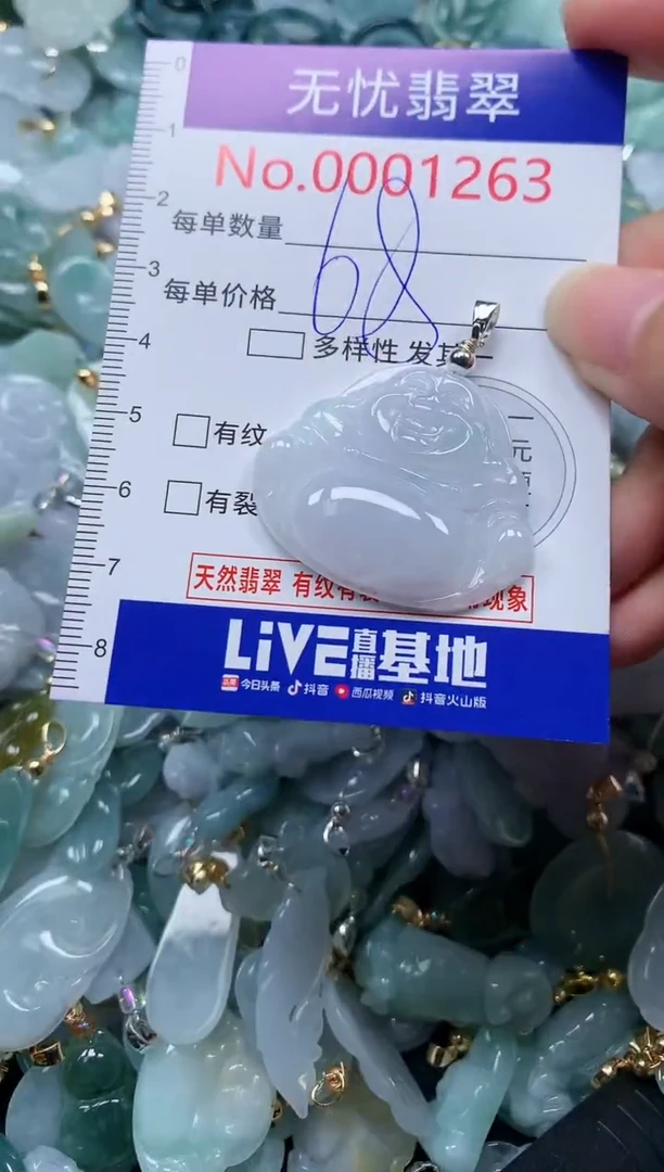 颈饰未镶嵌翡翠1263