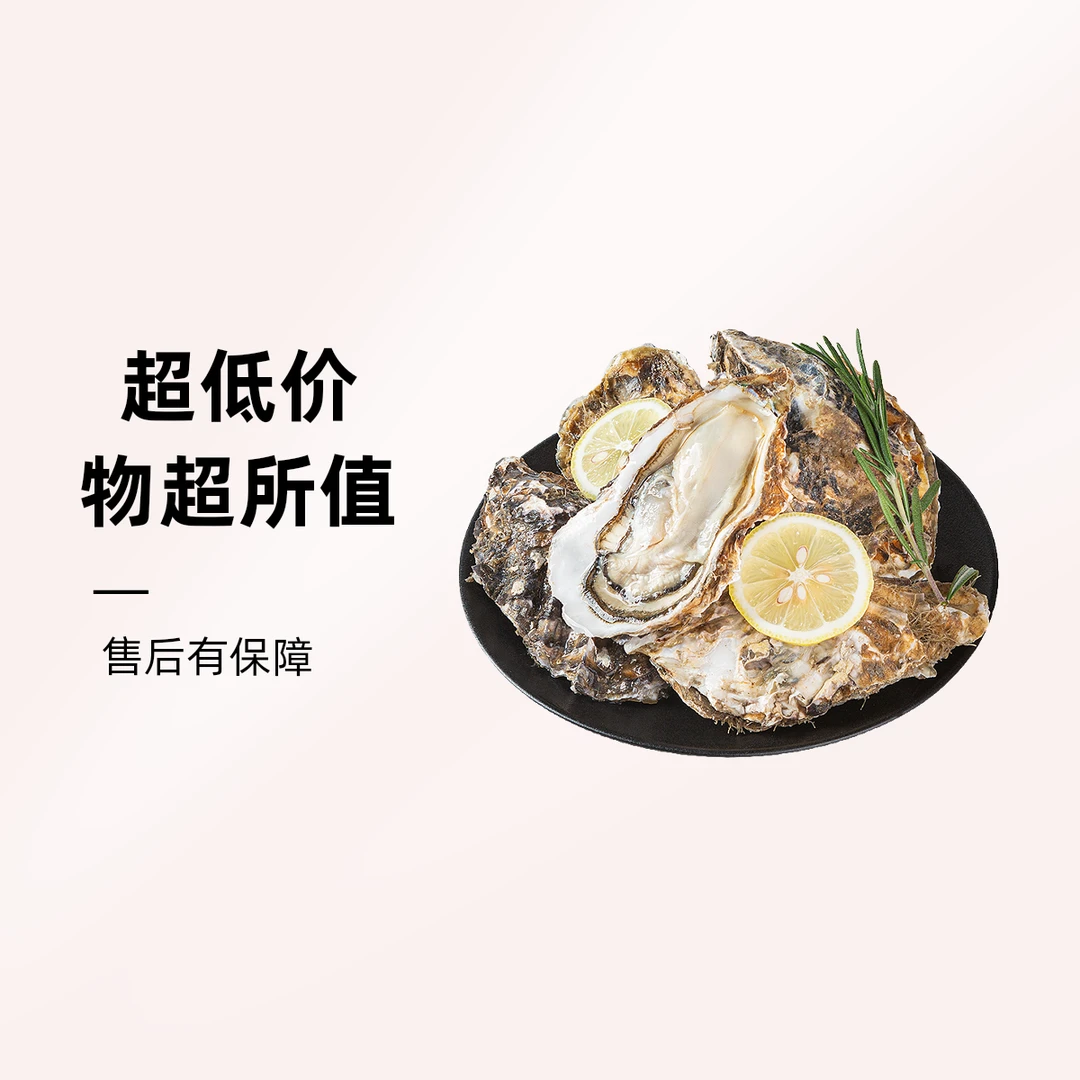 鲜活乳山生蚝100g/只数量自选