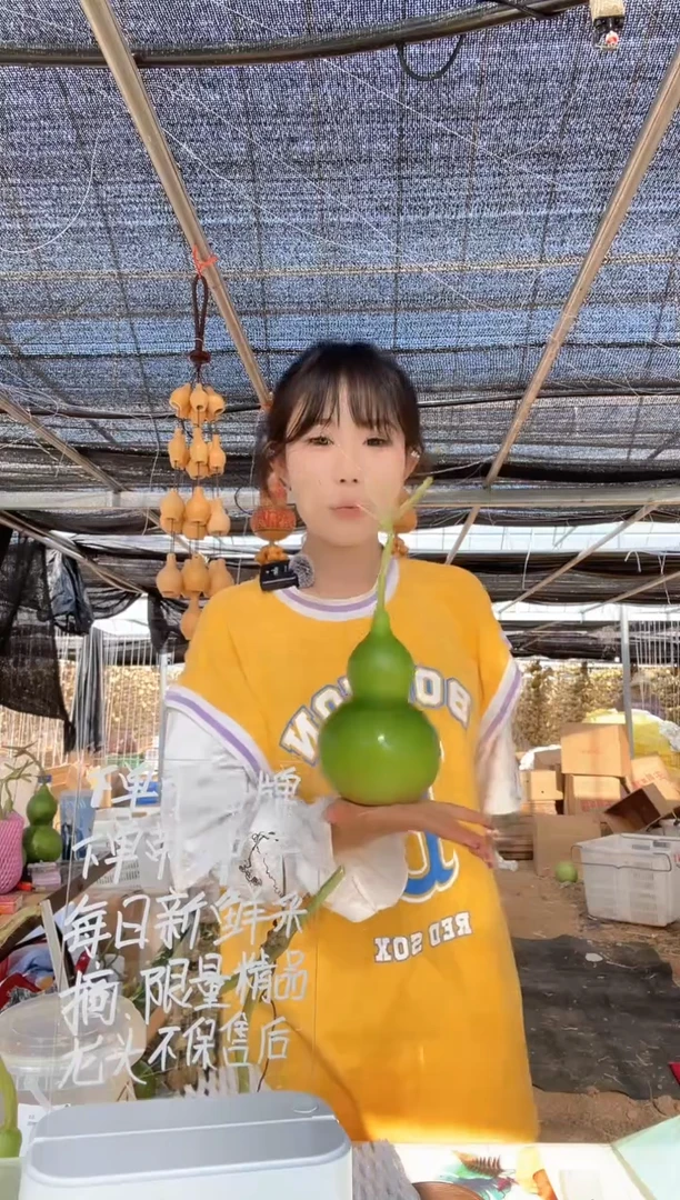 565天然葫芦摆件 一物一拍龙头不保售后