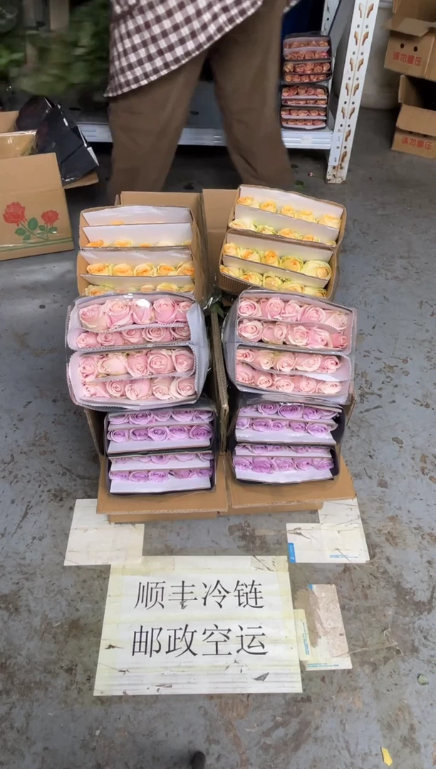 粉红20枝+海洋之歌20枝+香槟20枝