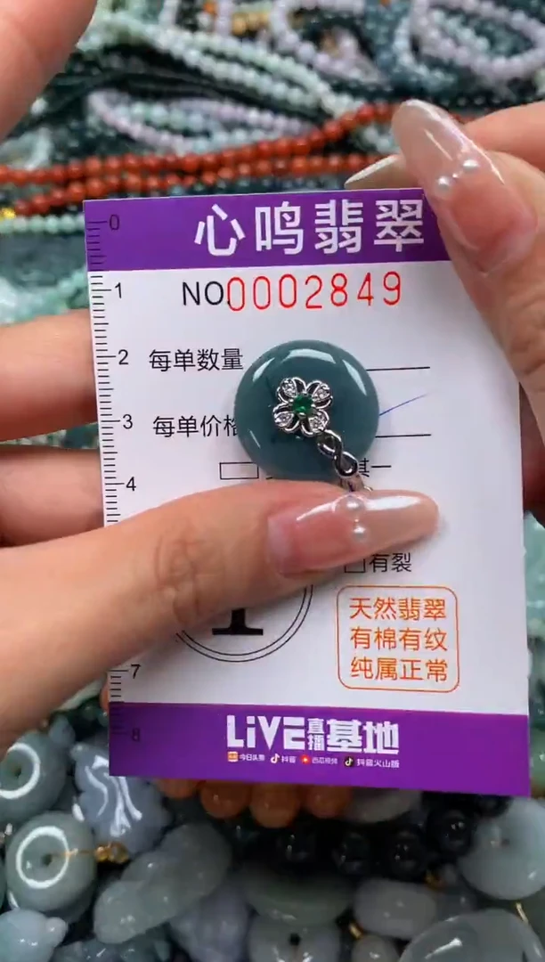 颈饰未镶嵌翡翠闪购002849