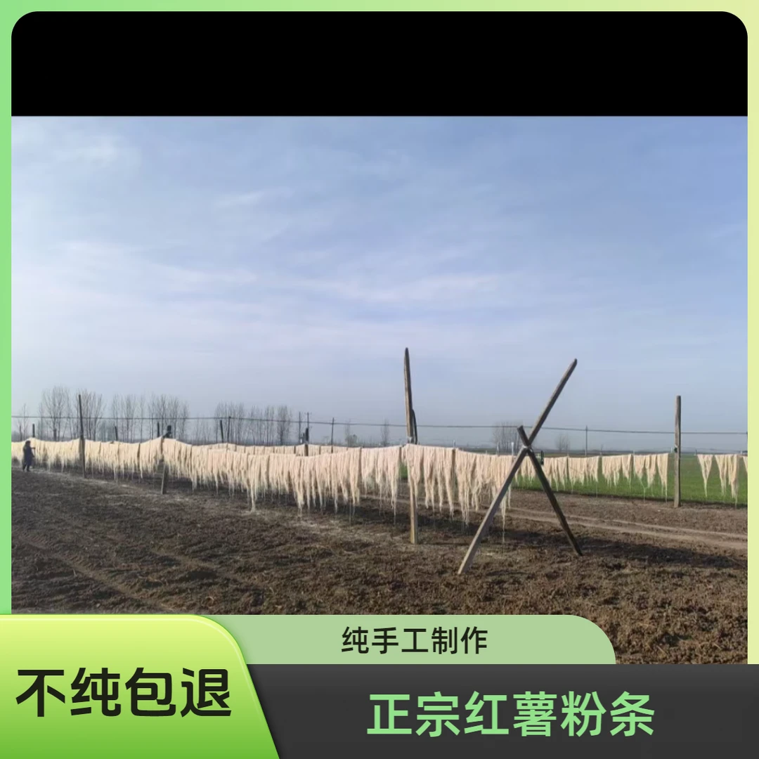 豫项臻选农家纯红薯粉条正宗细分手工粉条炒菜凉拌涮火锅做酸辣粉