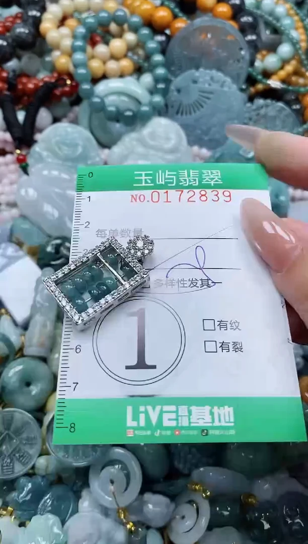 翡翠未镶嵌颈饰闪购0172839多样性发其一