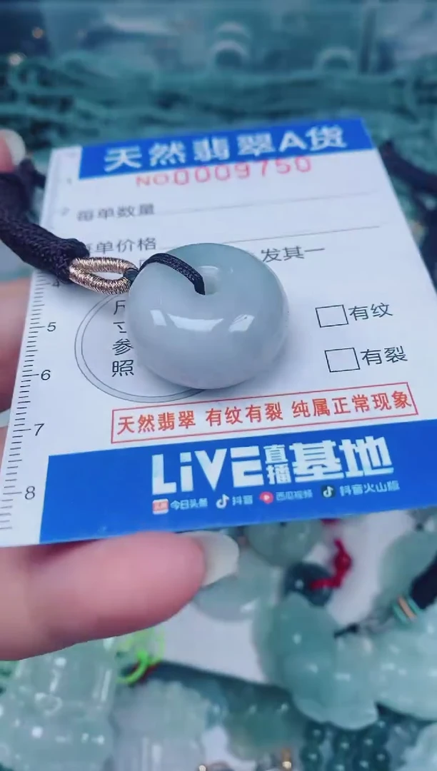 颈饰未镶嵌翡翠00009750