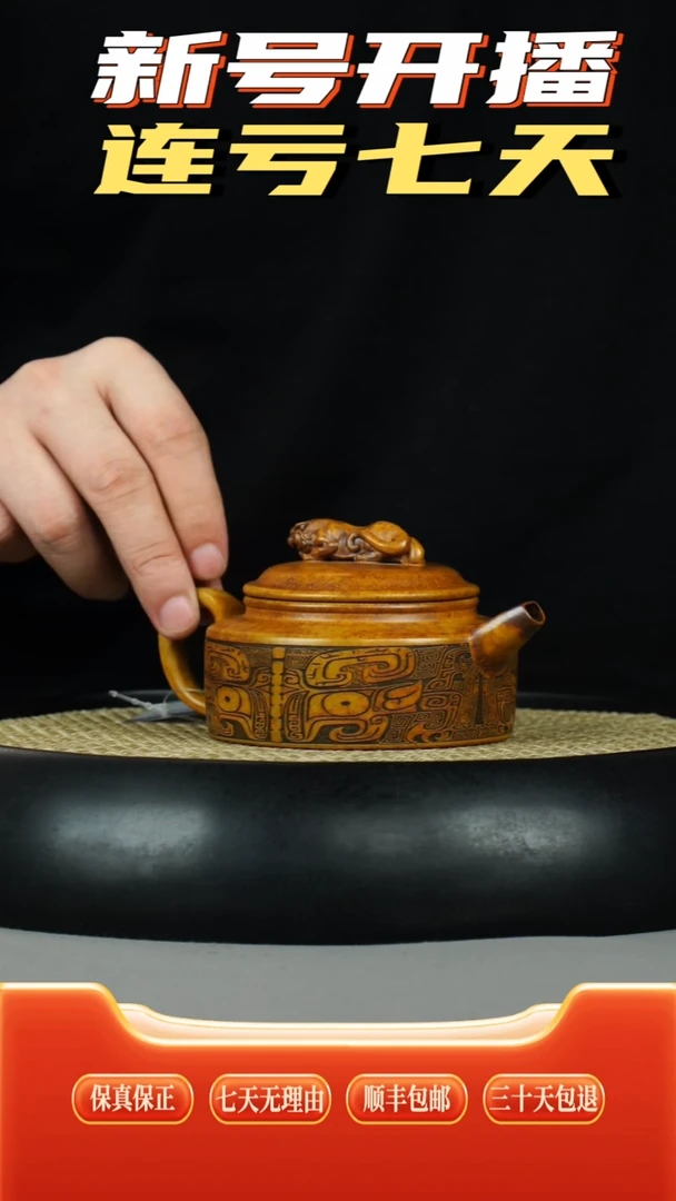 茶壶紫砂龙骨金砂柴烧卧虎藏龙刻绘周盘