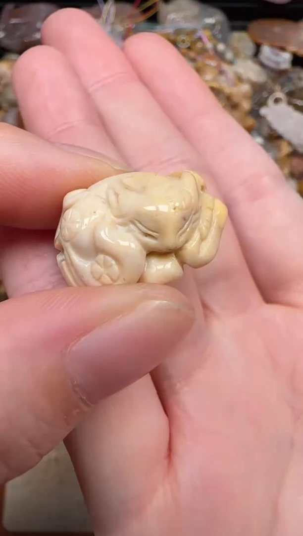 硅化珊瑚（珊瑚玉）未镶嵌颈饰502