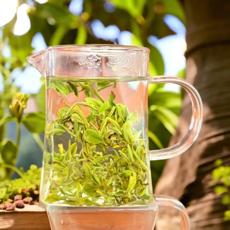 【谷雨茶露天春茶】4月18谷雨2025日照绿茶 鲜香 回甘回甜 手工揉捻