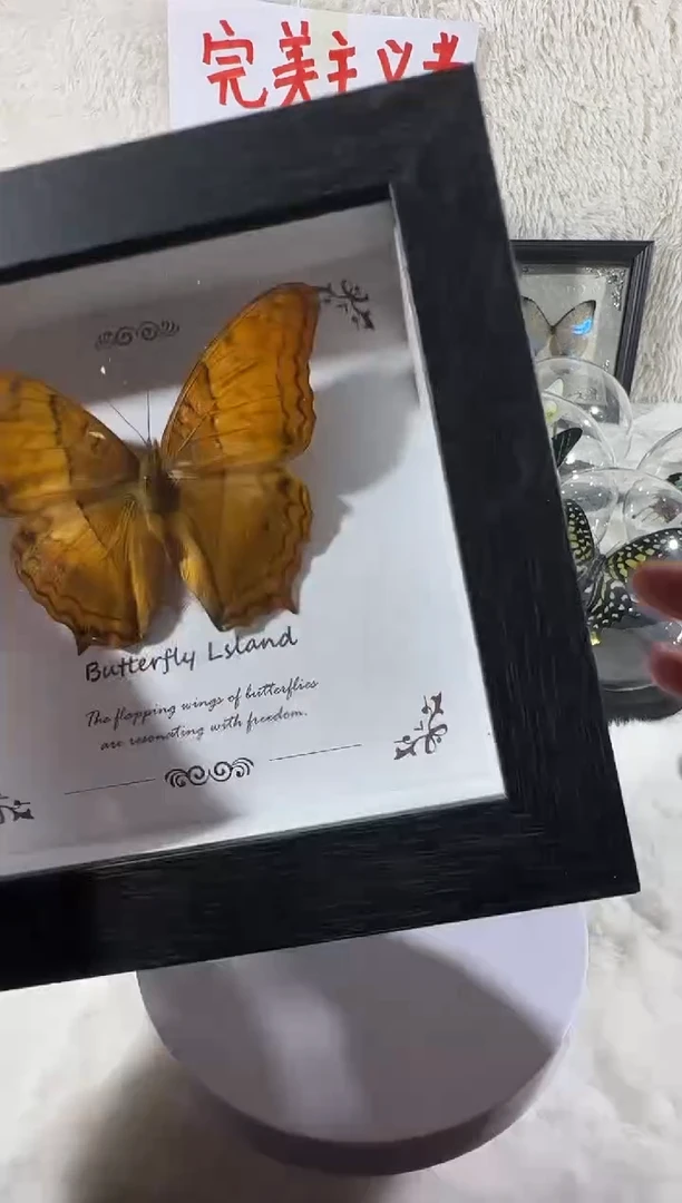 文蛱蝶相框微瑕