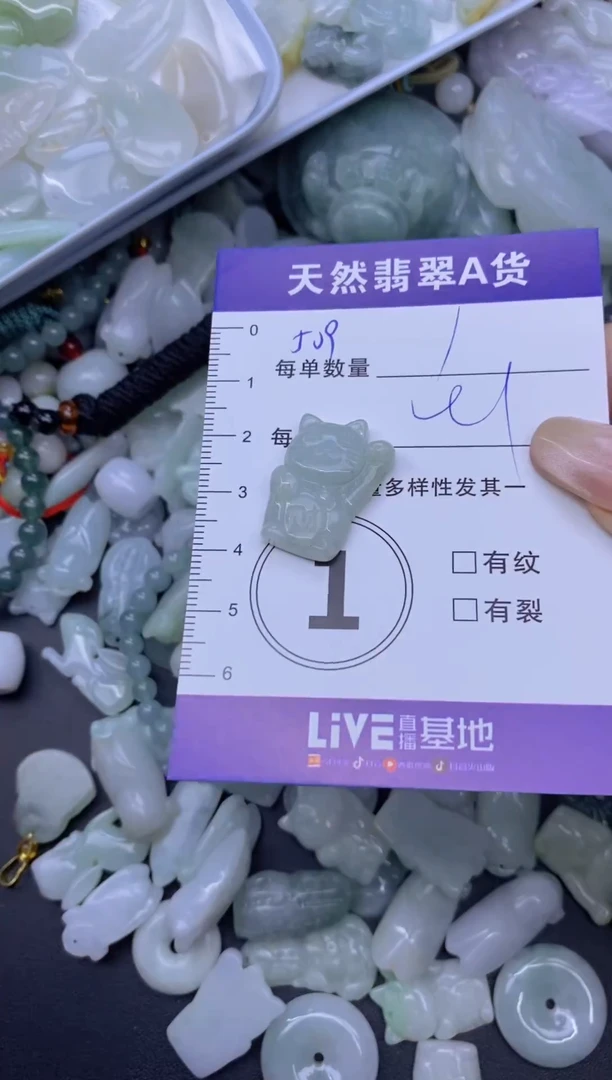 颈饰未镶嵌翡翠天然翡翠A货批量多样性发一件