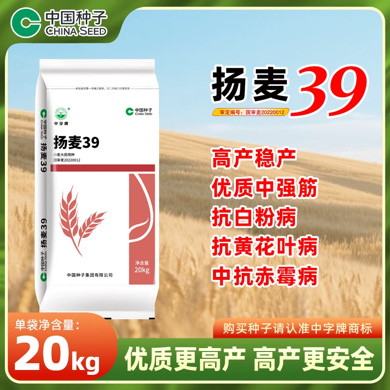 【鄂湘赣豫可拍】扬麦39小麦种20kg/袋 优质高产综合抗性好千粒重高