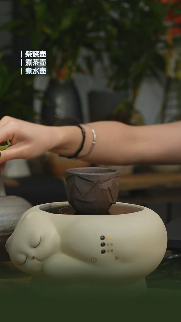 单杯杯单杯杯单杯杯