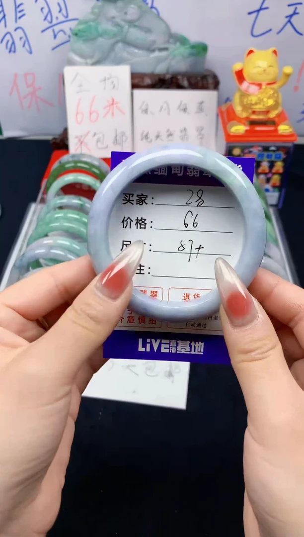 未镶嵌手镯翡翠28