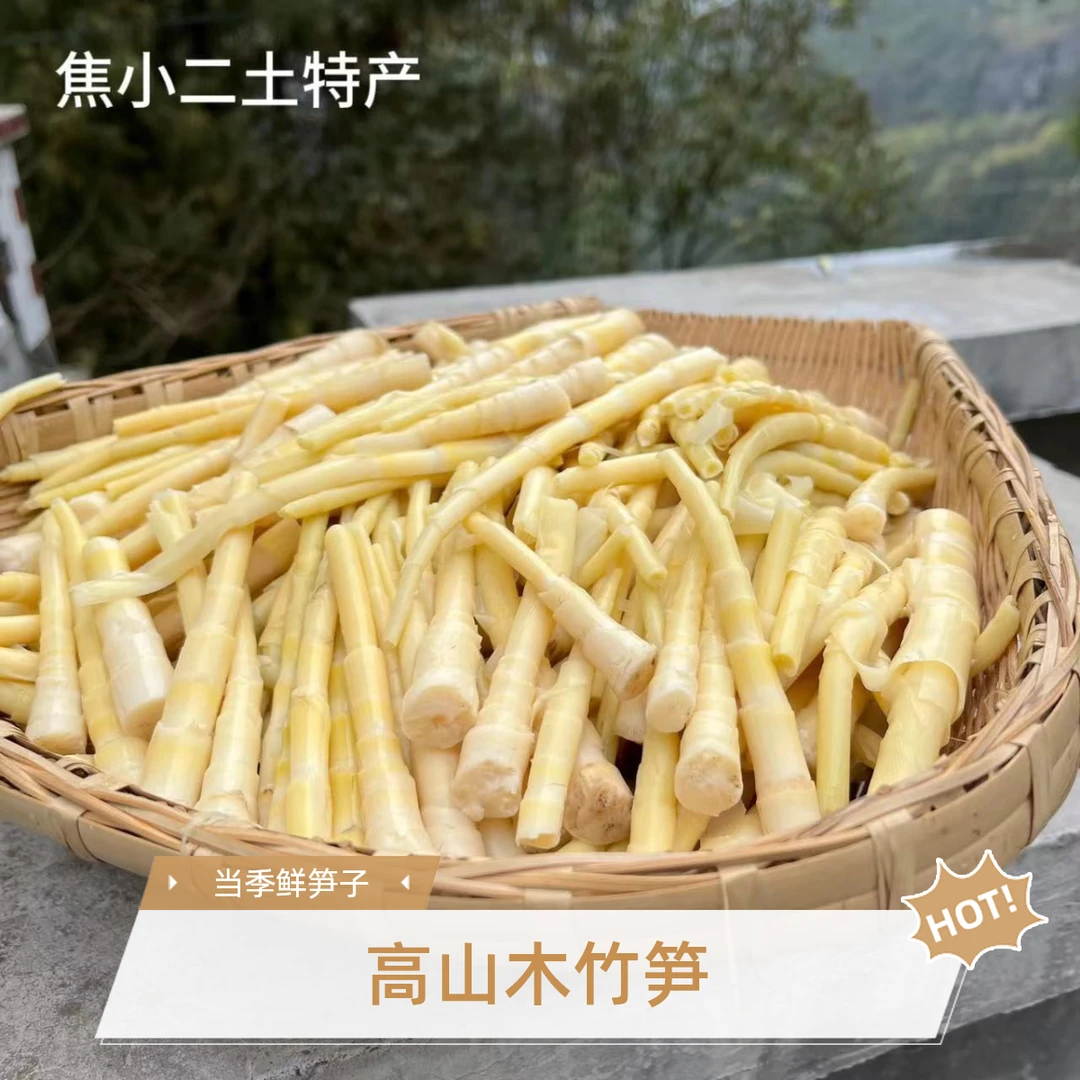 四川高山野生木竹笋春笋新鲜笋尖小竹笋 3斤包邮