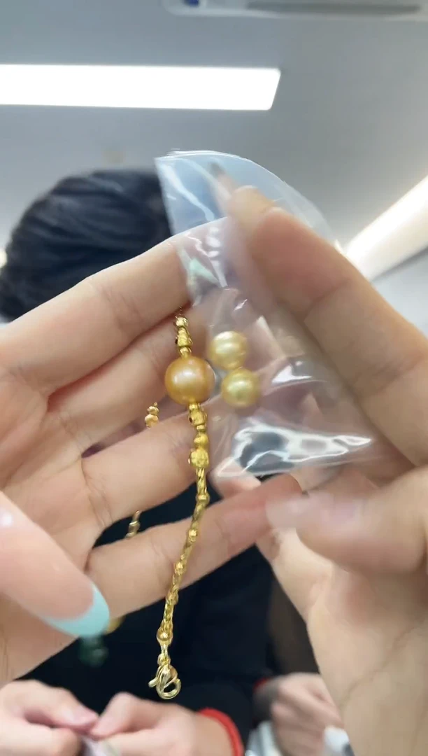 未镶嵌贝壳·（多样性发一件）