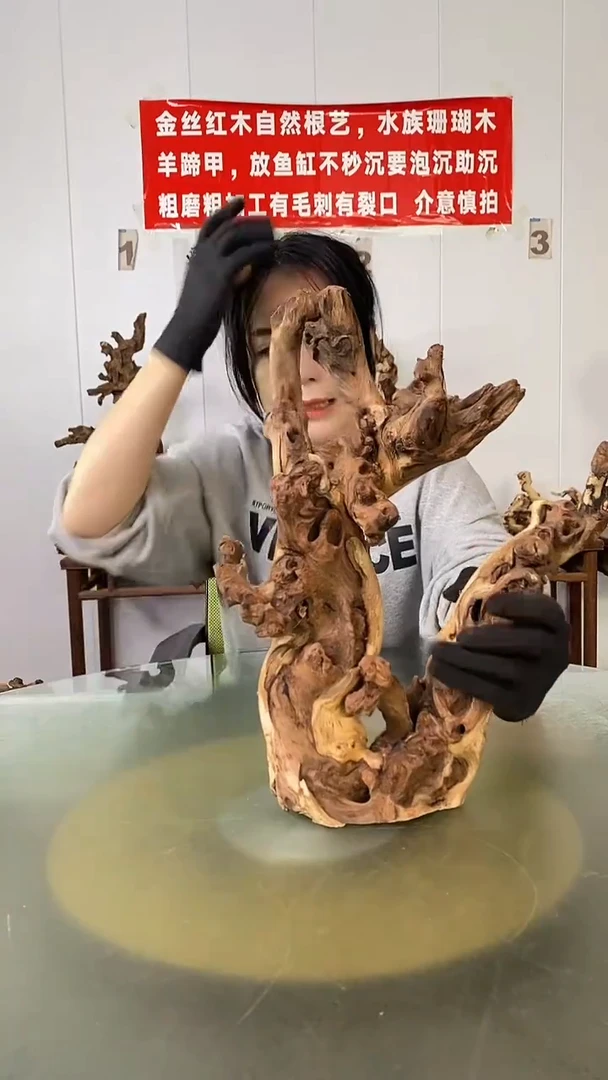 木黄**头金丝红木 羊蹄甲
