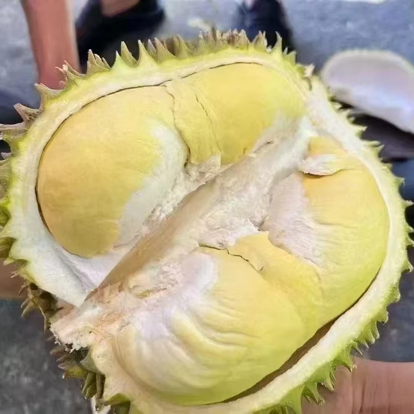 清川现开榴莲果肉鸡汤果一斤送半斤（福利果不售后介意勿拍）干尧金枕泰国越南