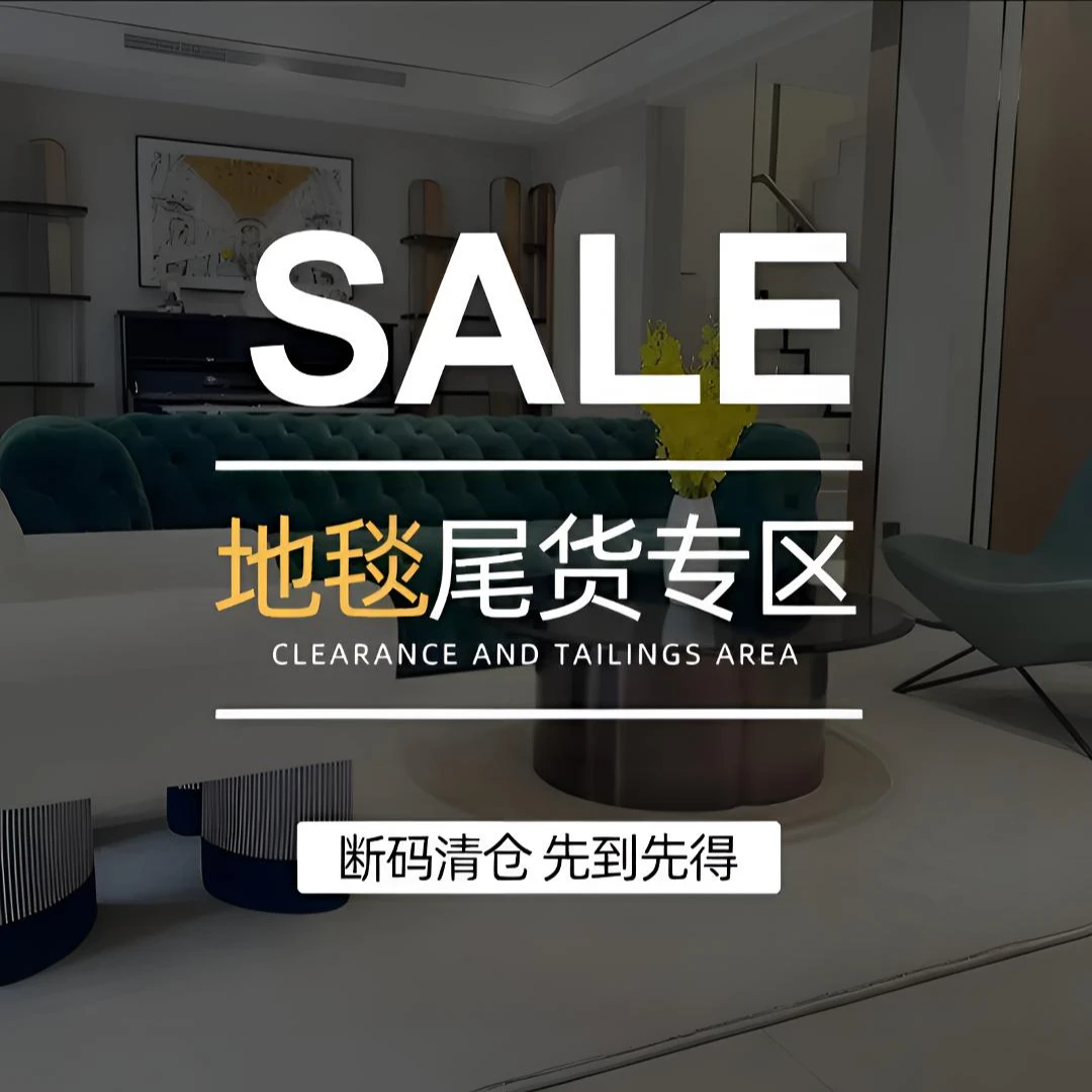 断码进口地毯客厅卧室品质款拍照地毯