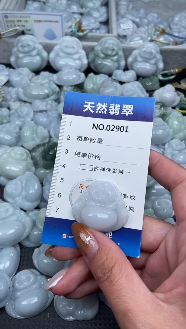 颈饰未镶嵌翡翠纯天然A货翡翠2901