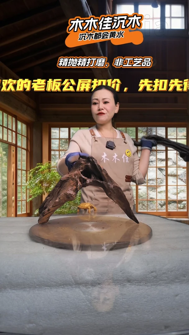 飞*木木佳沉木鱼缸造景735