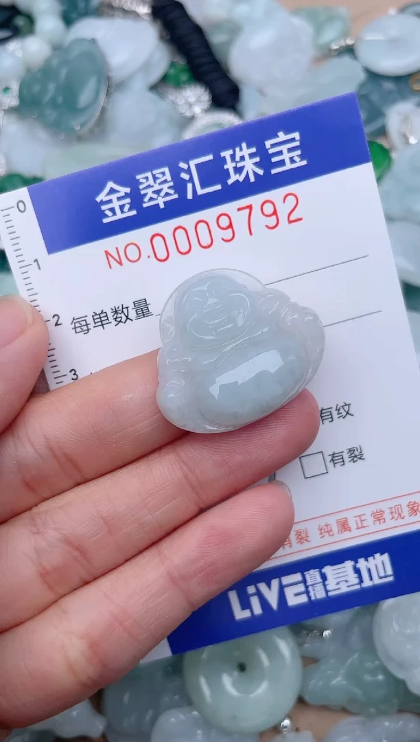 翡翠未镶嵌颈饰9792