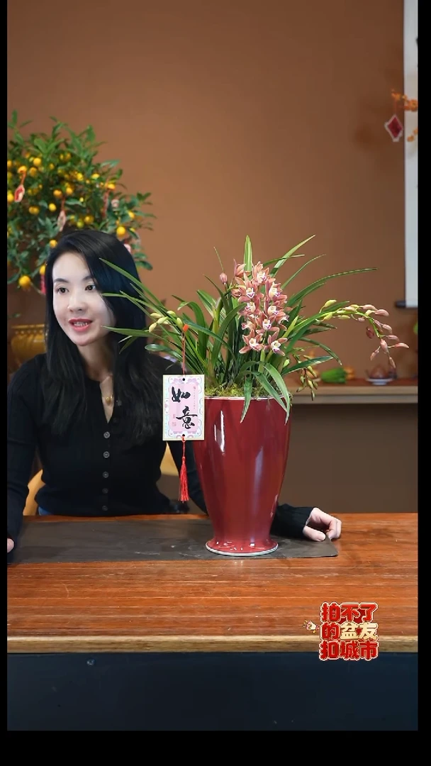 全部花朵红双喜红盆